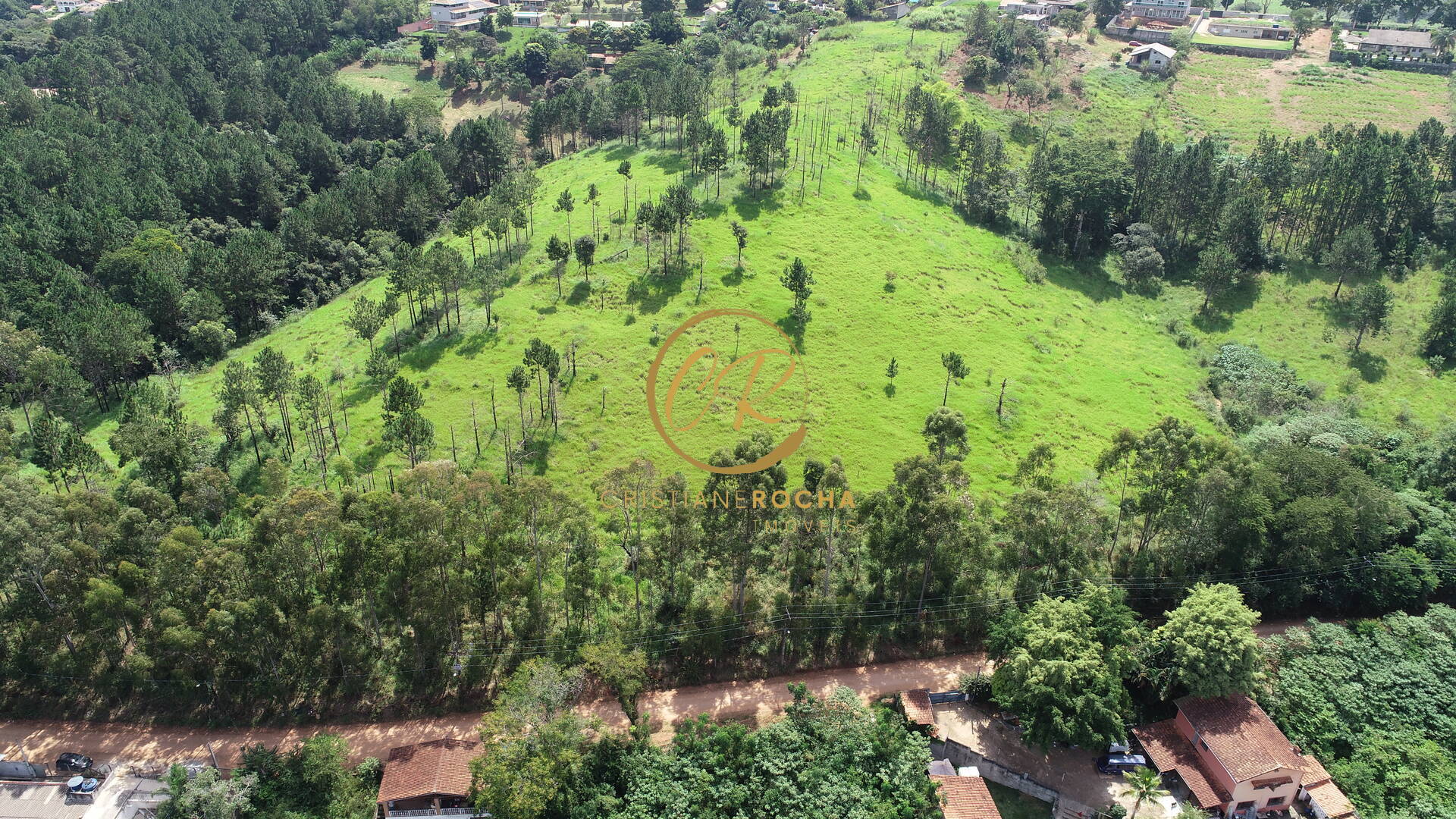 Terreno, 5 hectares - Foto 4