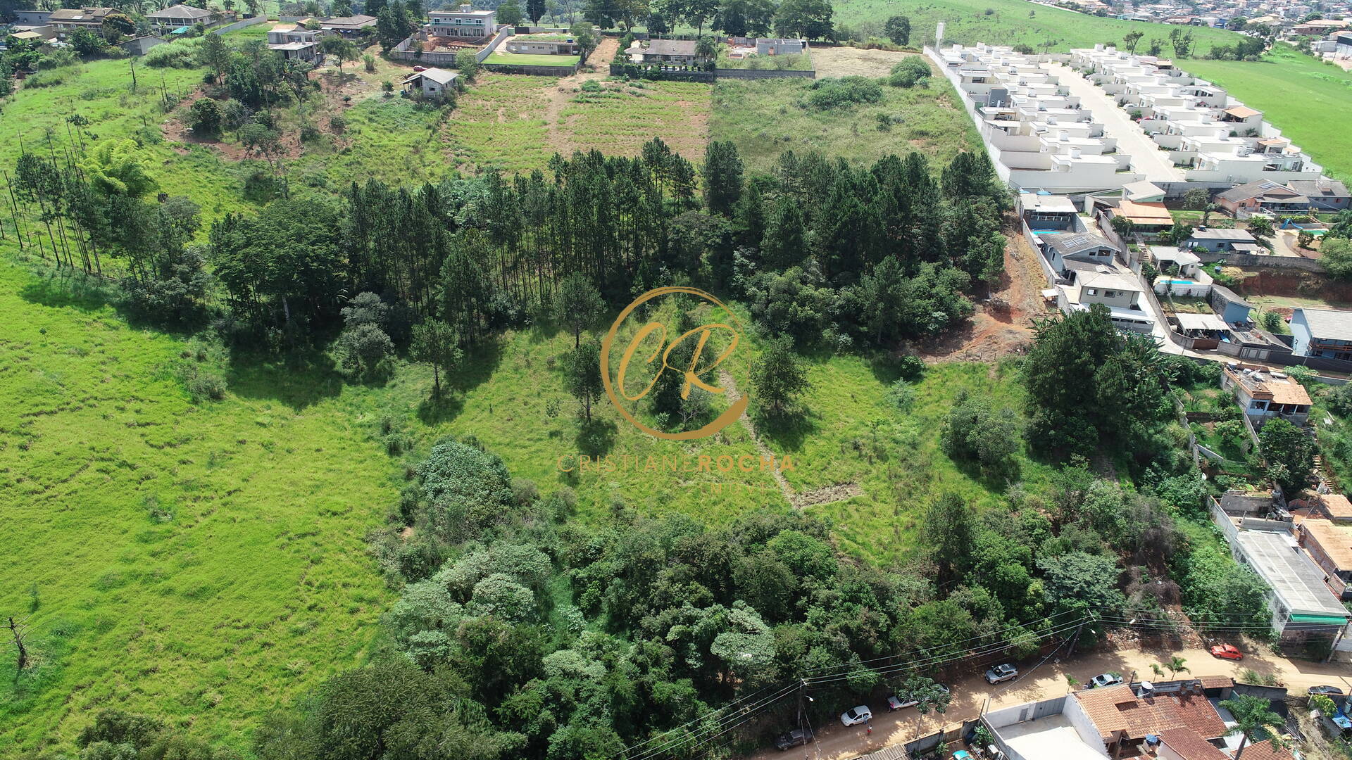 Terreno, 5 hectares - Foto 6