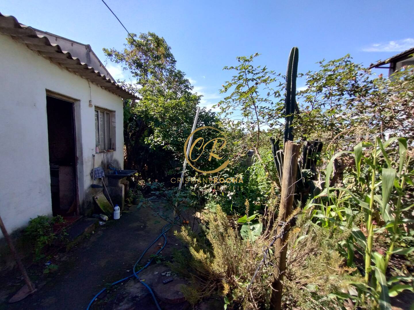 Terreno, 300 m² - Foto 17
