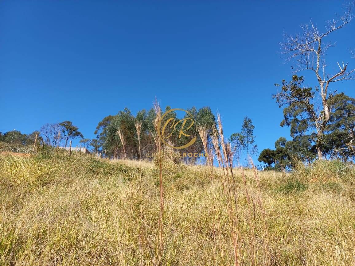 Terreno, 6050 m² - Foto 4