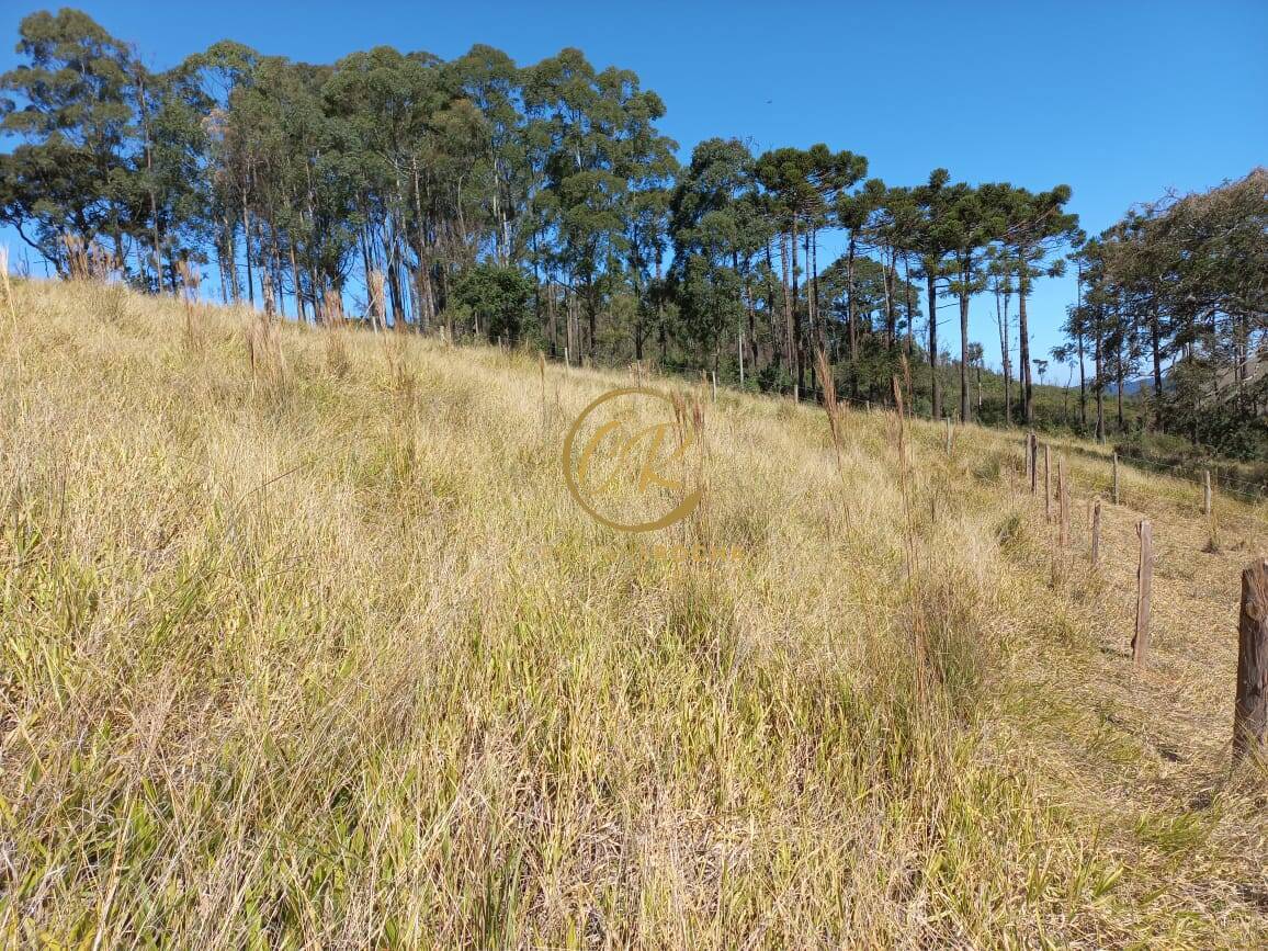 Terreno, 6050 m² - Foto 5