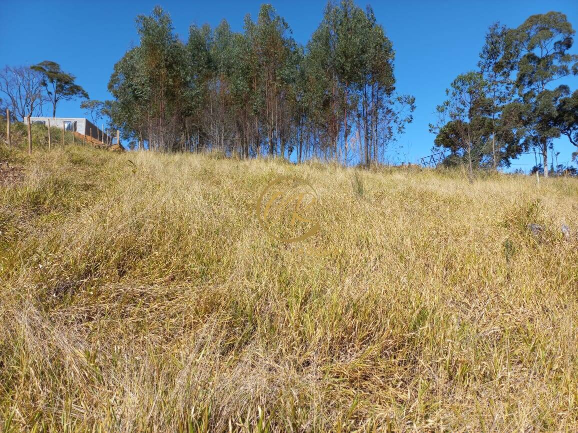 Terreno, 6050 m² - Foto 6