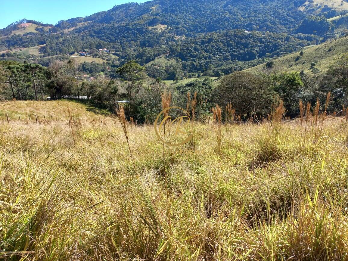 Terreno, 6050 m² - Foto 9