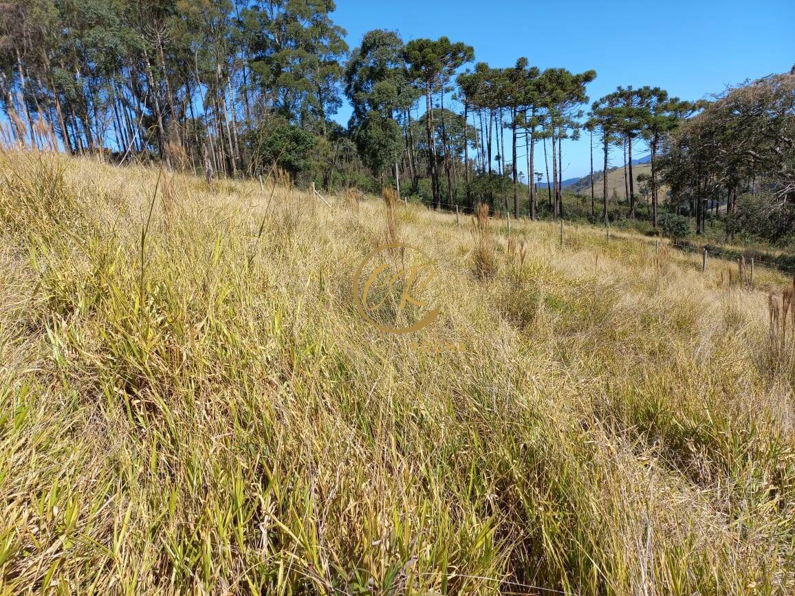 Terreno, 6050 m² - Foto 8