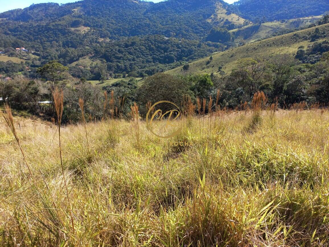 Terreno, 6050 m² - Foto 13