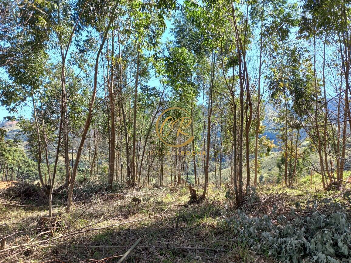 Terreno, 6050 m² - Foto 2